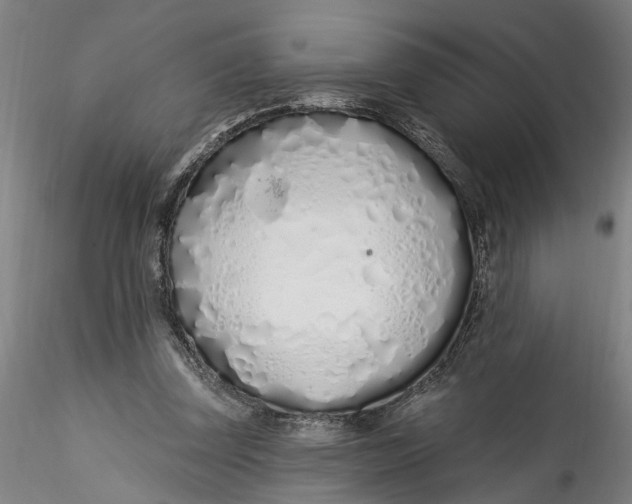 X0000115520347200911271328