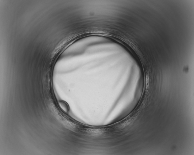 X0000115520349200911271328