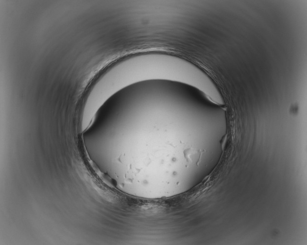 X0000115520350200911271328