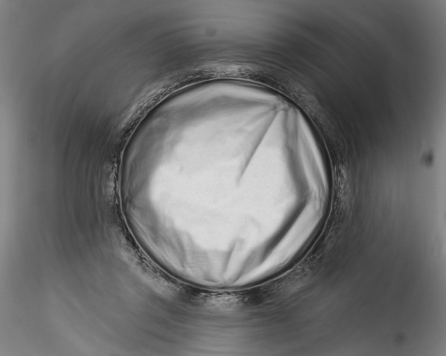 X0000115520357200911271328