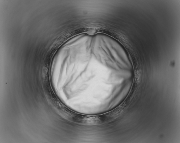 X0000115520365200911271328