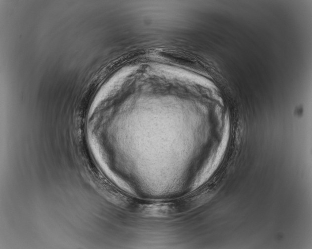 X0000115520366200911271328