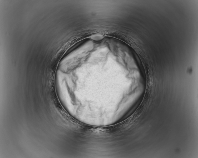 X0000115520367200911271328