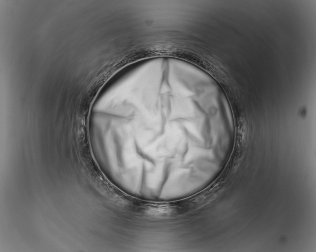 X0000115520369200911271328