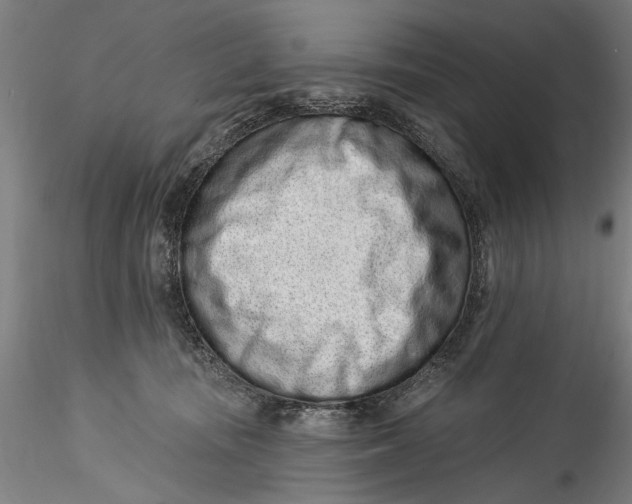 X0000115520371200911271328