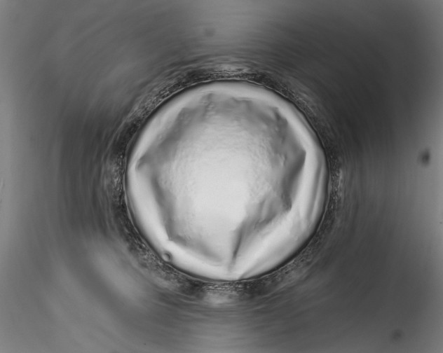 X0000115520373200911271328