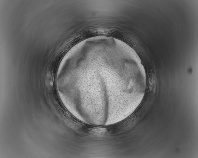 X0000115520374200911271328