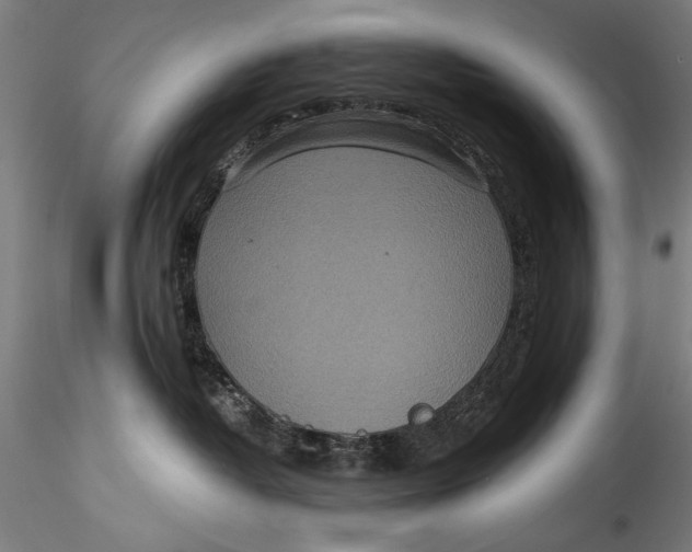 X0000115520382200911271328