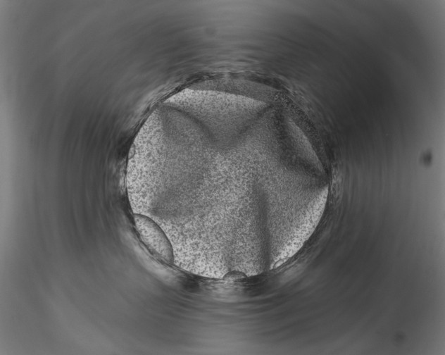 X0000115520383200911271328