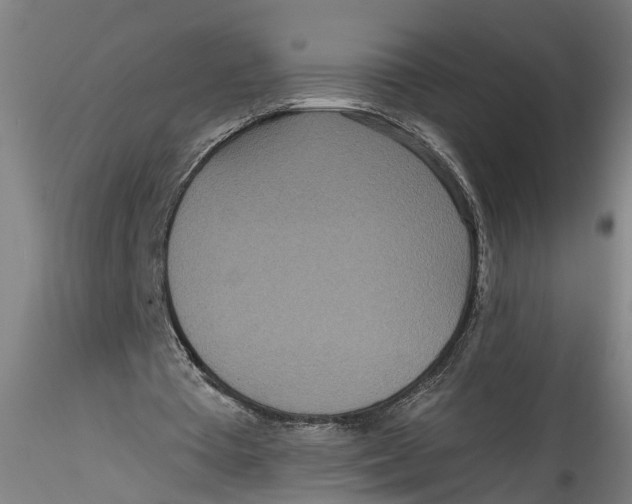 X0000115520385200911271328