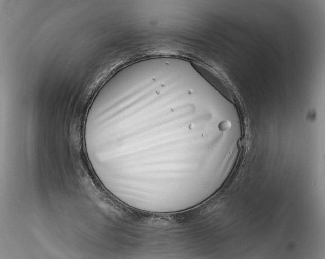 X0000115520386200911271328