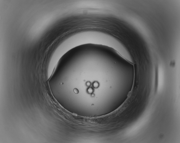 X0000115520387200911271328