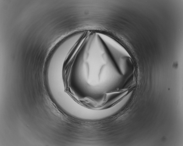 X0000115520391200911271327