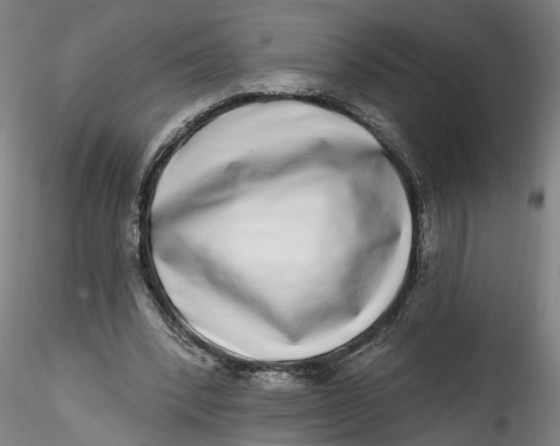 X0000115520392200911271327