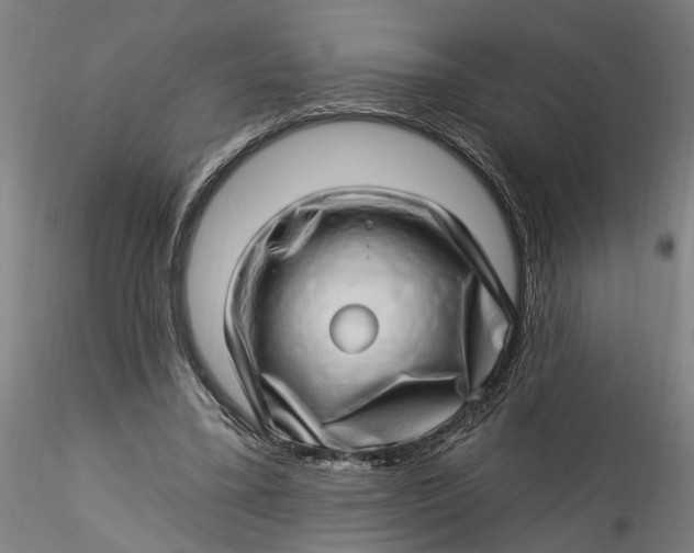 X0000115520395200911271327