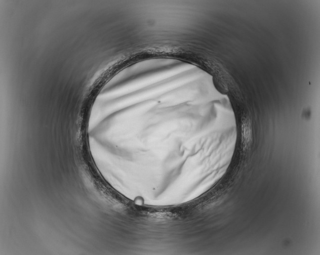 X0000115520396200911271327