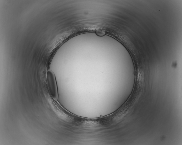 X0000115520397200911271327