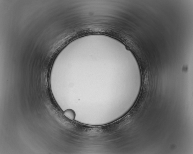 X0000115520398200911271327