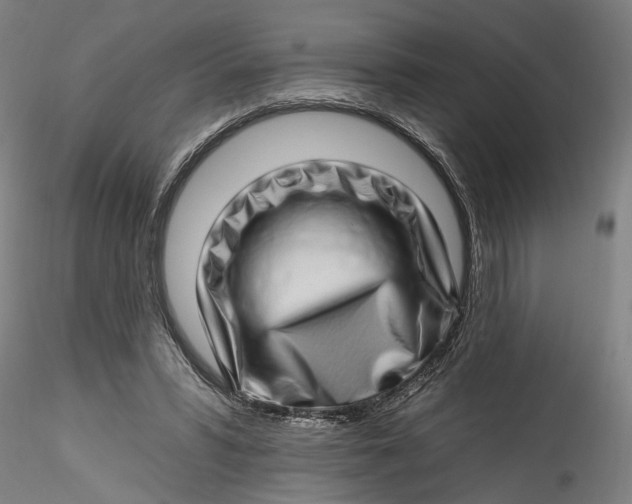 X0000115520399200911271327