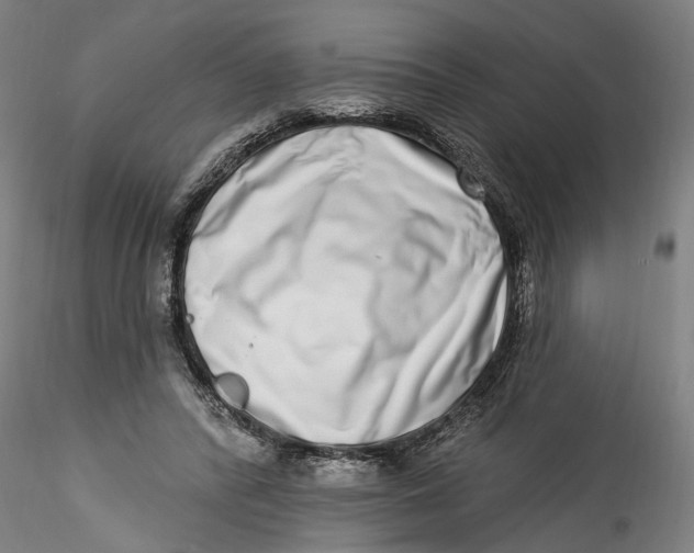 X0000115520400200911271327