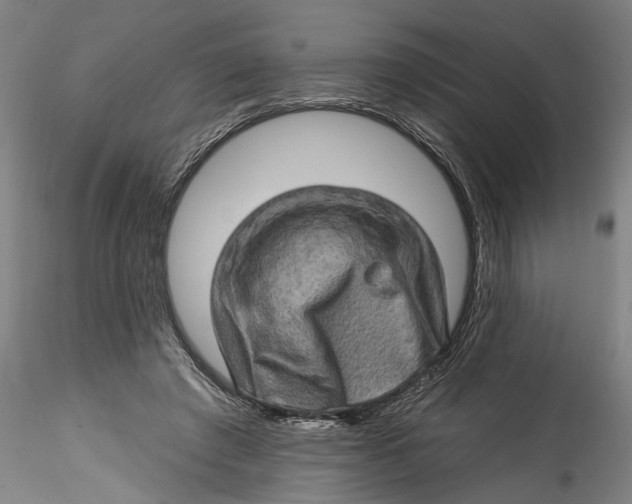 X0000115520401200911271327