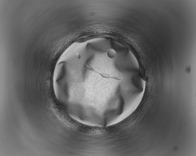 X0000115520402200911271327