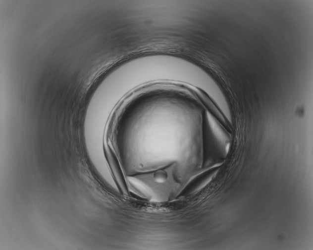 X0000115520403200911271327