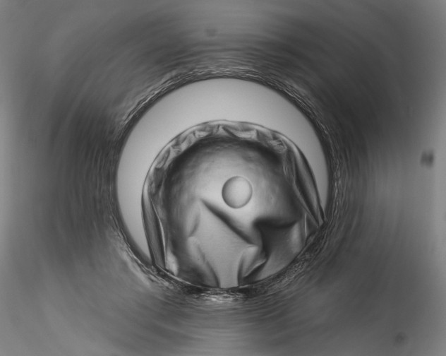 X0000115520405200911271327