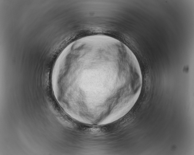 X0000115520406200911271327