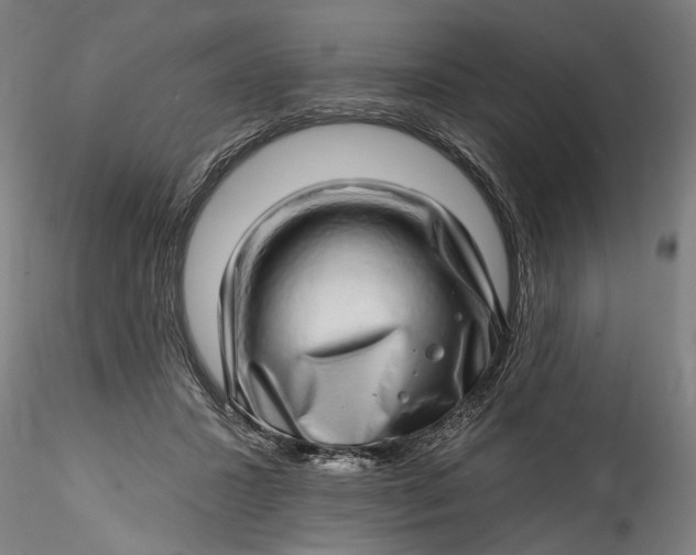 X0000115520407200911271327