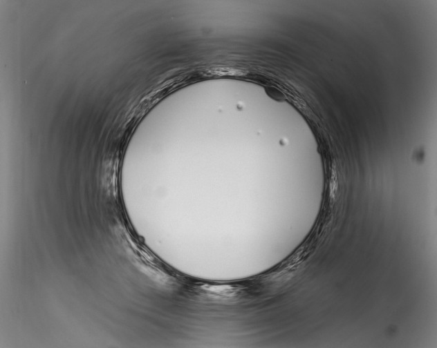 X0000115520409200911271327