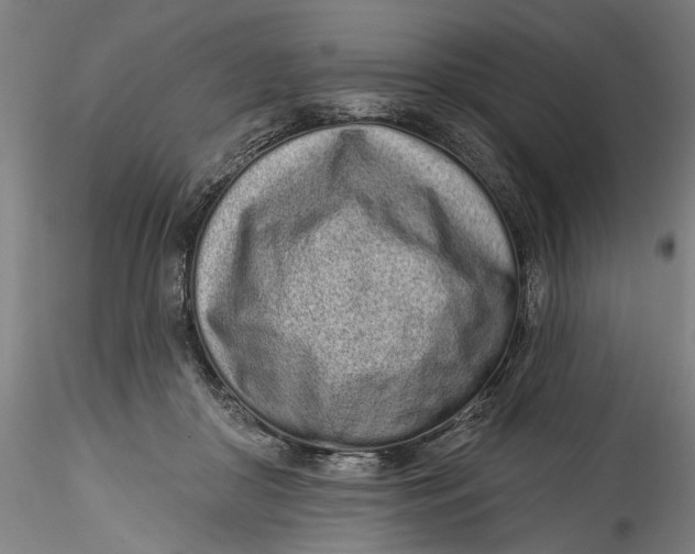 X0000115520410200911271327