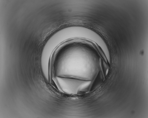 X0000115520411200911271327