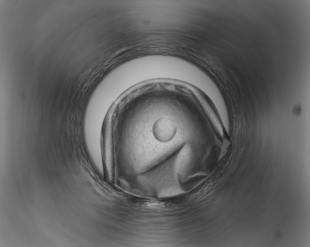 X0000115520413200911271327