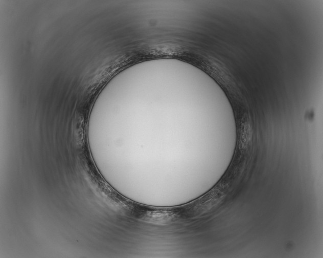 X0000115520414200911271327