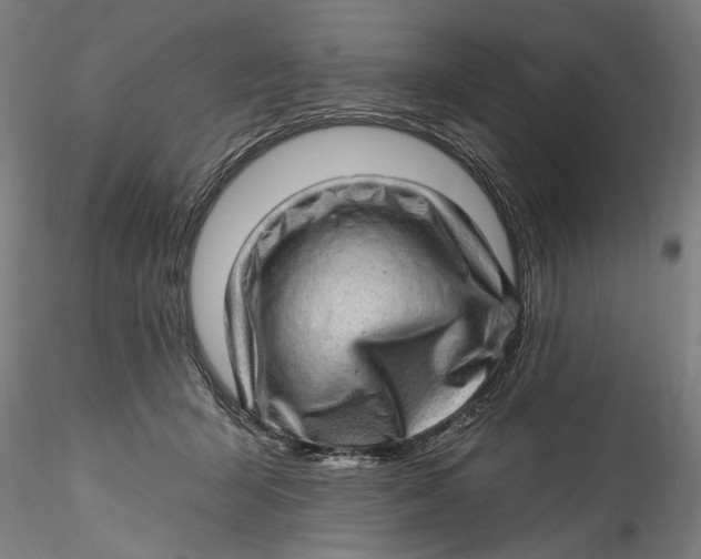 X0000115520415200911271327