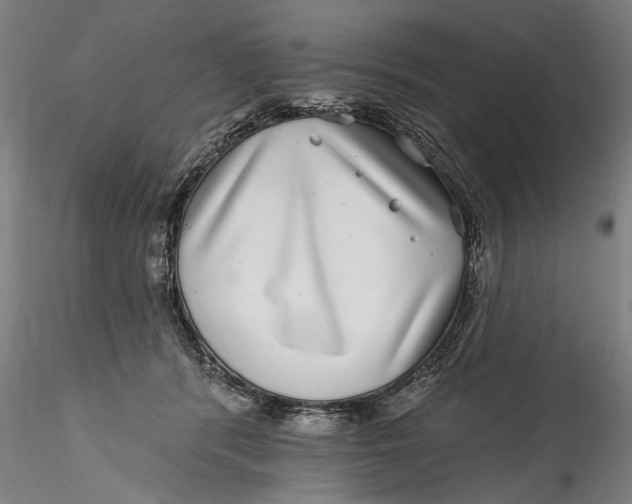 X0000115520416200911271327