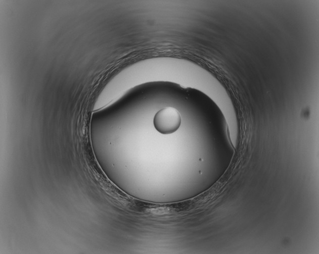 X0000115520417200911271327