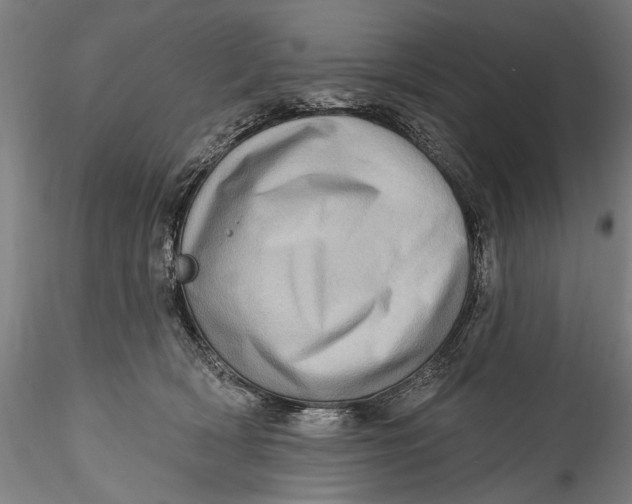 X0000115520418200911271327