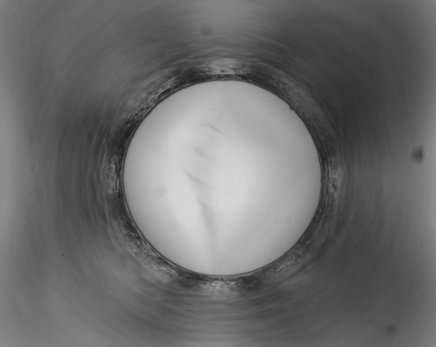 X0000115520422200911271327