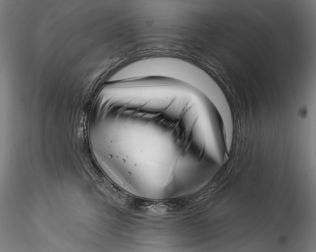 X0000115520423200911271327