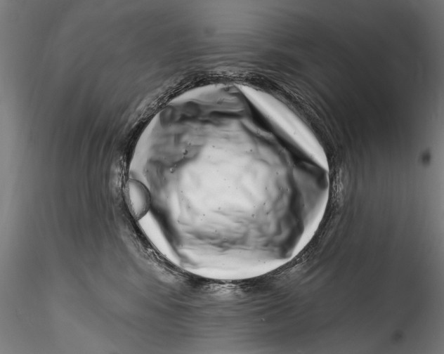 X0000115520424200911271327