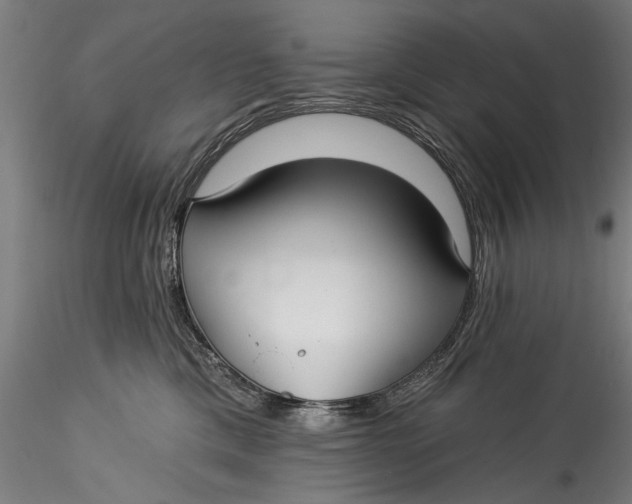 X0000115520425200911271327