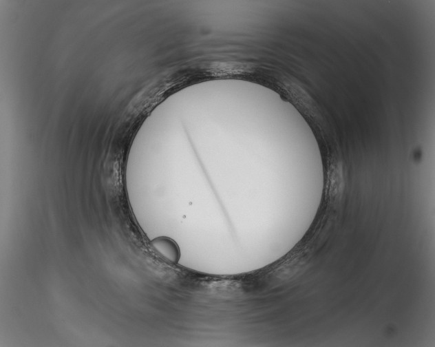 X0000115520426200911271327