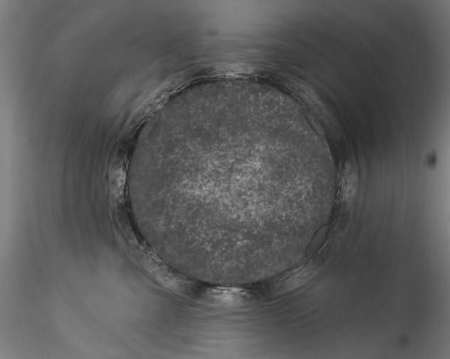 X0000115520427200911271327