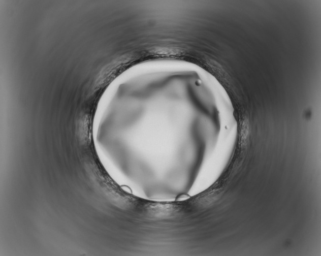 X0000115520428200911271327