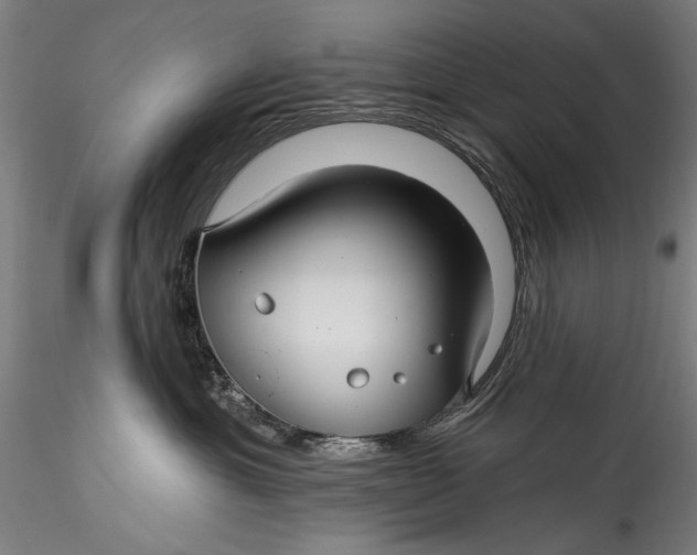 X0000115520429200911271327