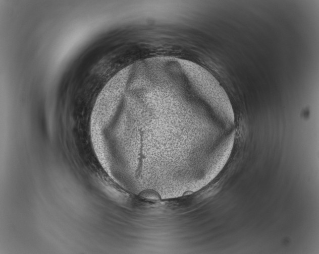 X0000115520430200911271327