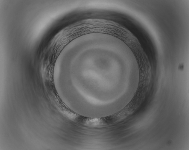 X0000115520431200911271327