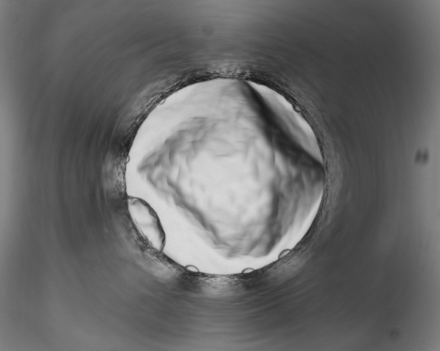 X0000115520432200911271327